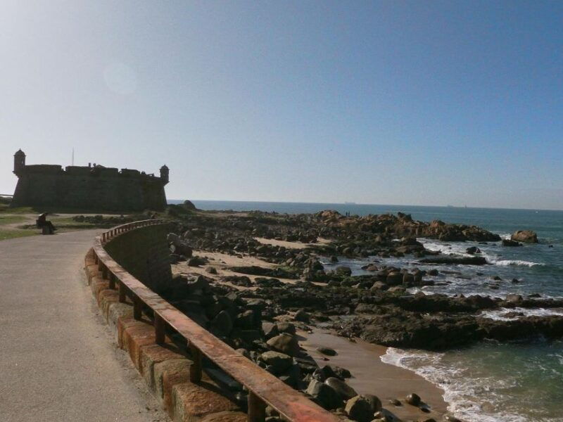 porto-port-cellar-visit-and-tasting-sardine-factory-tour