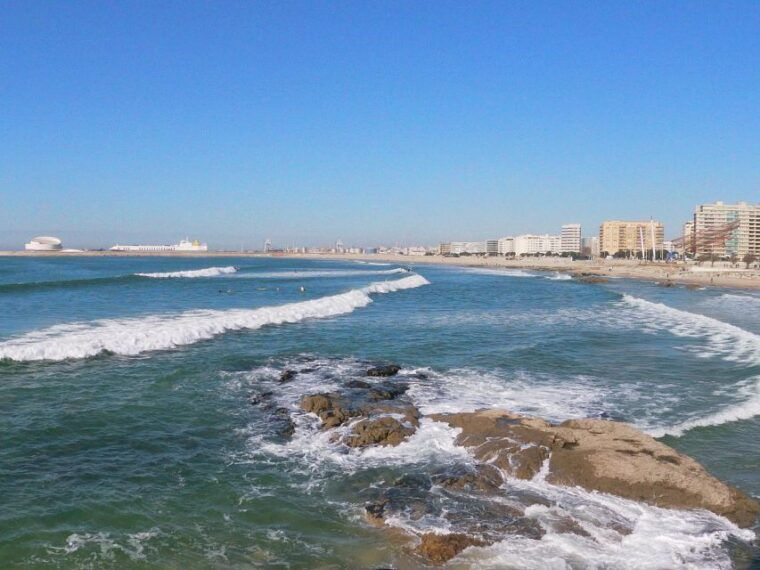 porto-port-cellar-visit-and-tasting-sardine-factory-tour