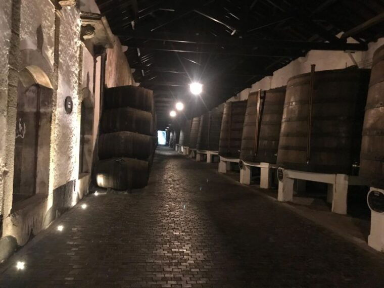 porto-port-cellar-visit-and-tasting-sardine-factory-tour