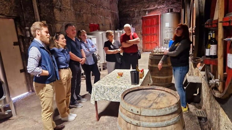Porto: Premium Douro Valley Small-Group Tour, Cruise & Lunch - Who Should Book This Tour?