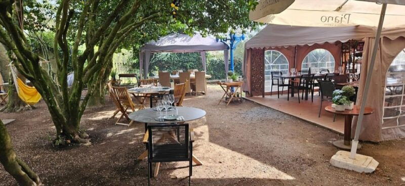 porto-premium-douro-valley-wine-tour-cruise-winery-lunch