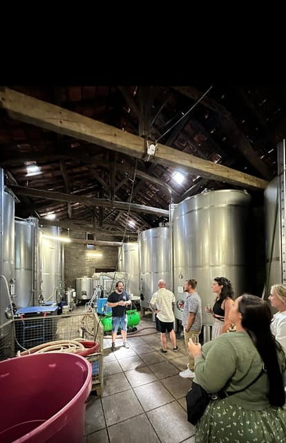 porto-premium-douro-valley-wine-tour-cruise-winery-lunch