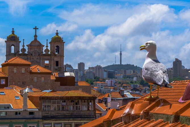 porto-premium-private-walking-tour