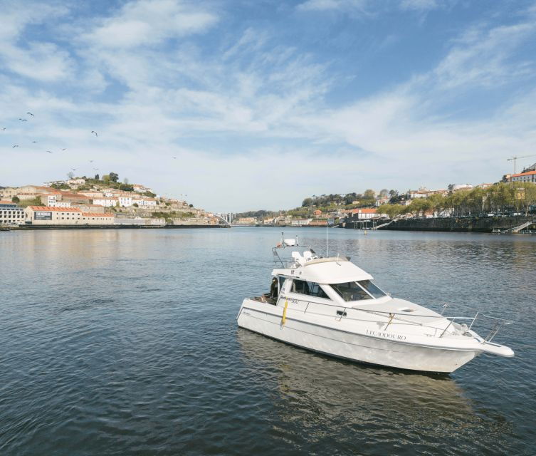 porto-private-douro-river-sunset-cruise