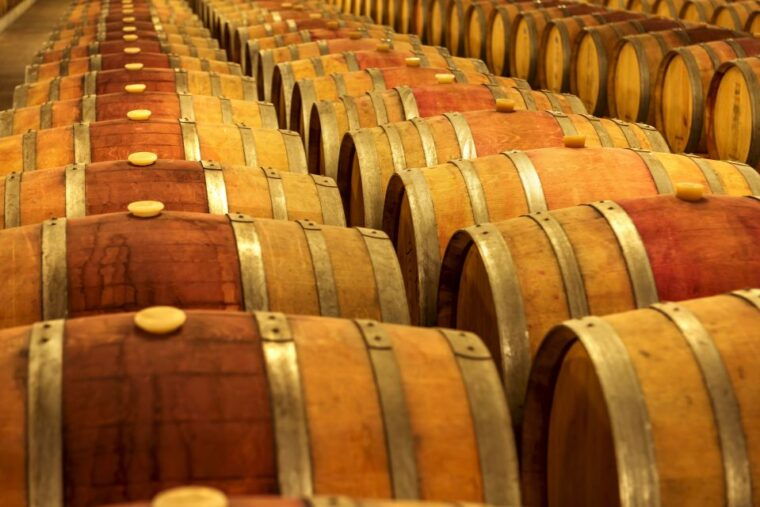 porto-private-douro-valley-day-with-lunch