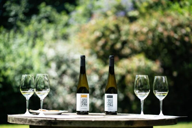 porto-private-green-wine-tour-visit-2-wine-estates-lunch