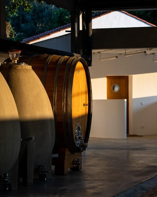 porto-private-green-wine-tour-visit-2-wine-estates-lunch