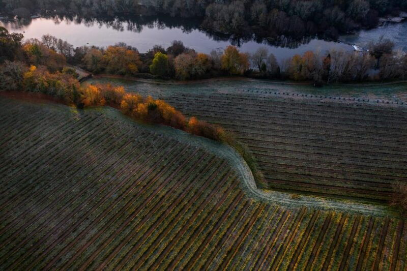 porto-private-green-wine-tour-visit-2-wine-estates-lunch