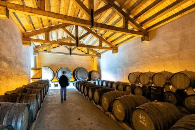 Porto: Private tour in Bairrada - From wine to suckling pig with tradition. - Key Points  