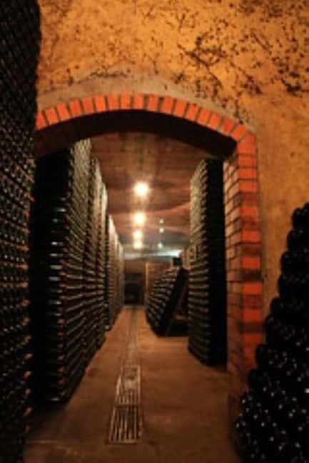 Porto: Private tour in Bairrada - From wine to suckling pig with tradition. - An Overview of the Bairrada Experience