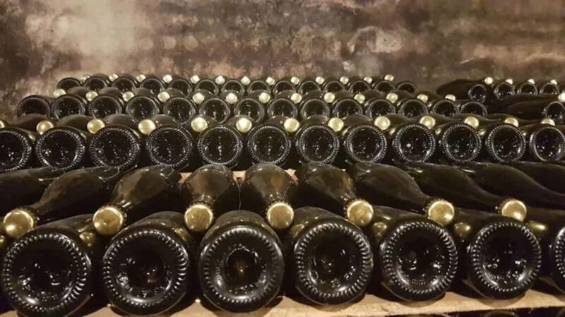 Porto: Private tour in Bairrada - From wine to suckling pig with tradition. - Visiting the Old Cellars: A Historic and Visual Treat