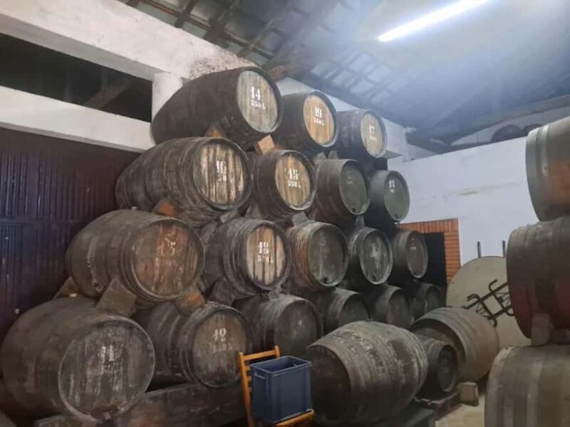 Porto: Private tour in Bairrada - From wine to suckling pig with tradition. - Why the Wine and Cellar Visits Matter
