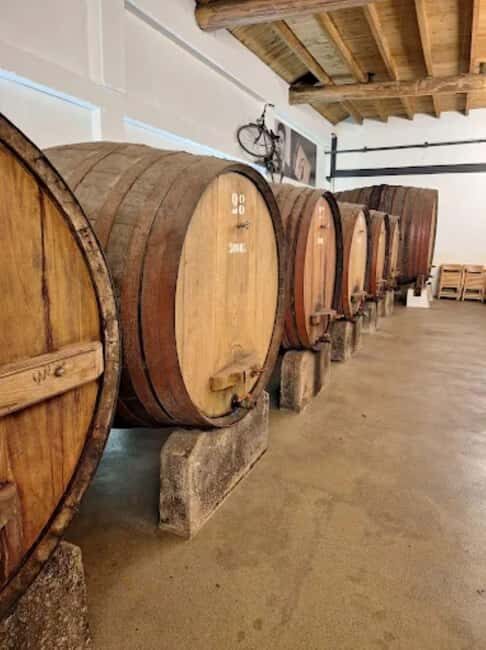 Porto: Private tour in Bairrada - From wine to suckling pig with tradition. - Overall Value and Experience