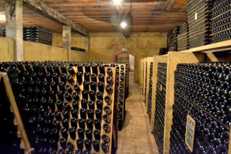 Porto: Private tour in Bairrada - From wine to suckling pig with tradition. - Who Should Consider This Tour?