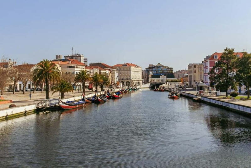 Porto: Private Tour to Lisbon (or vice versa) with stops - Final Thoughts: Who Is This Tour Perfect For?
