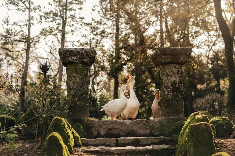 Porto: Qta da Aveleda Enchanted Gardens & Green Wine - What to Expect from the Tour