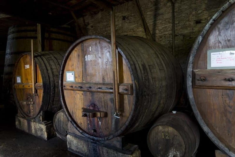 Porto: Régua Cruise with Train Ride and Wine Tasting - FAQs