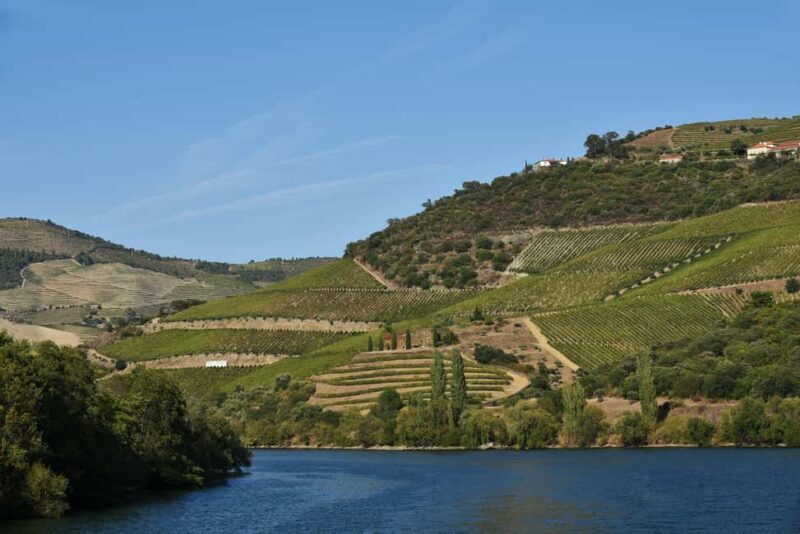 Porto/Régua/Porto Downstream - Analyzing the Value: Is It Worth It?