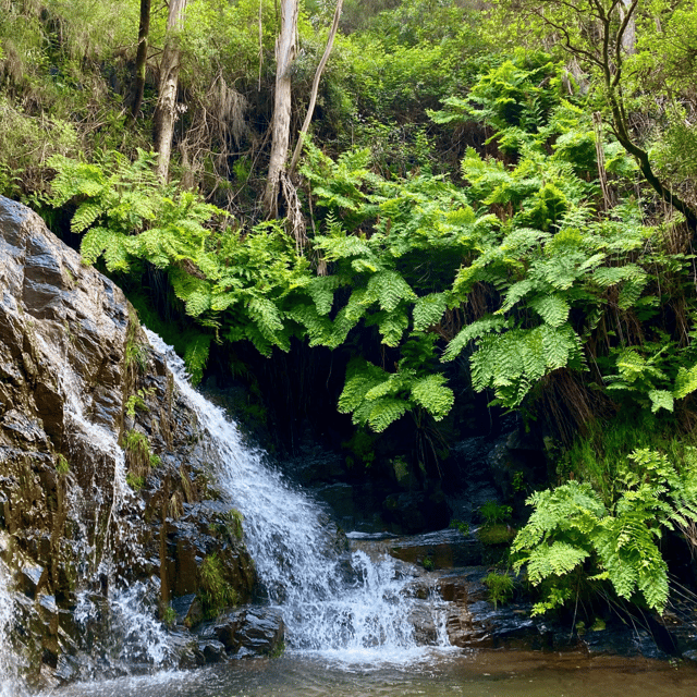 porto-rio-mau-hiking-waterfalls-lunch