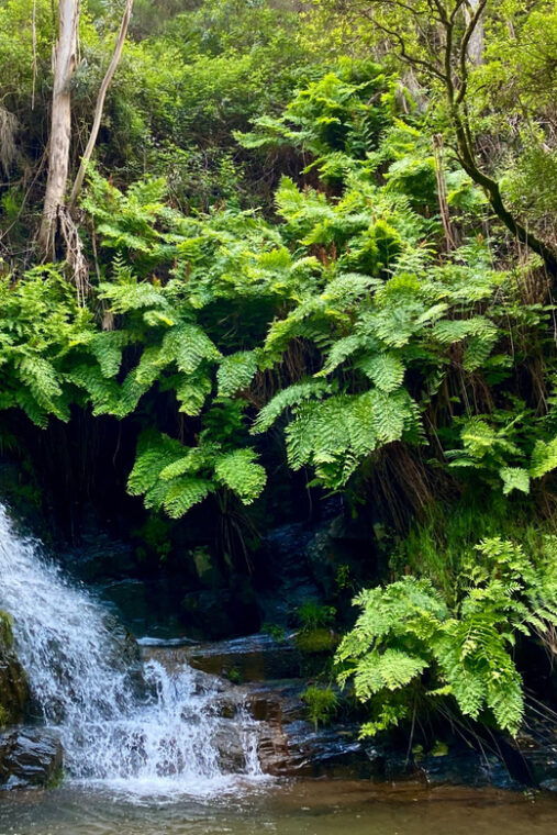 porto-rio-mau-hiking-waterfalls-lunch