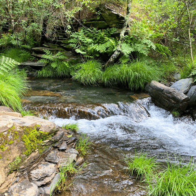 porto-rio-mau-hiking-waterfalls-lunch