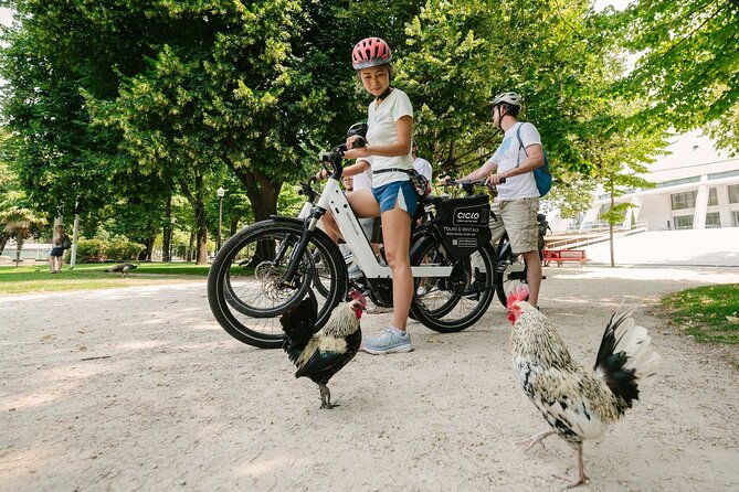 porto-riverbank-e-bike-tour-atlantic-coast-gardens