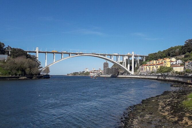 porto-riverbank-e-bike-tour-atlantic-coast-gardens