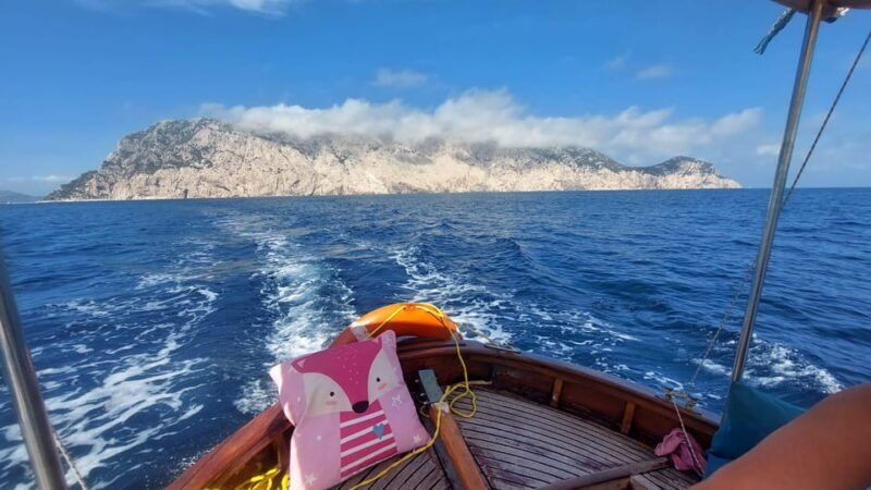 porto-san-paolo-day-tour-to-tavolara-and-molara-fish-lunch