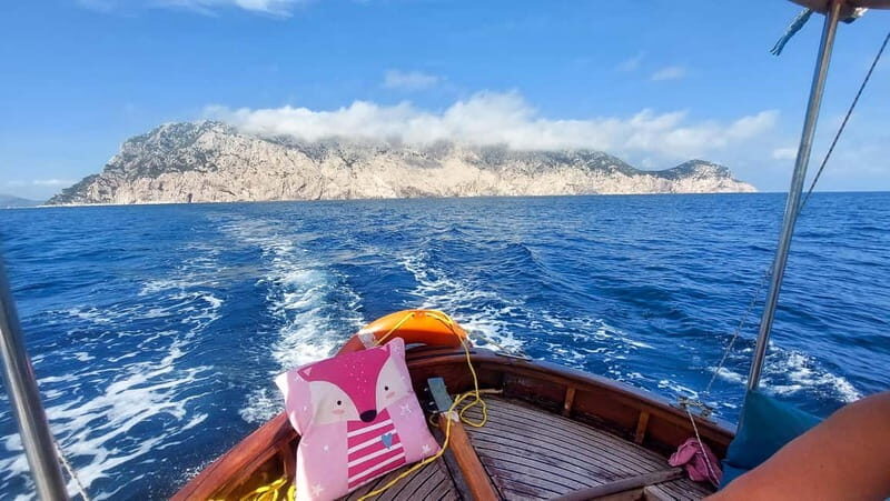 Porto San Paolo: Half Day Boat Tour to Tavolara and Molara - Final Thoughts