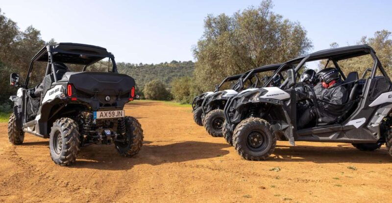 porto-santo-180-minutes-off-road-buggy-tour