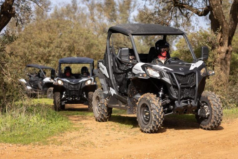 porto-santo-180-minutes-off-road-buggy-tour