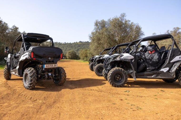 porto-santo-180-minutes-off-road-buggy-tour