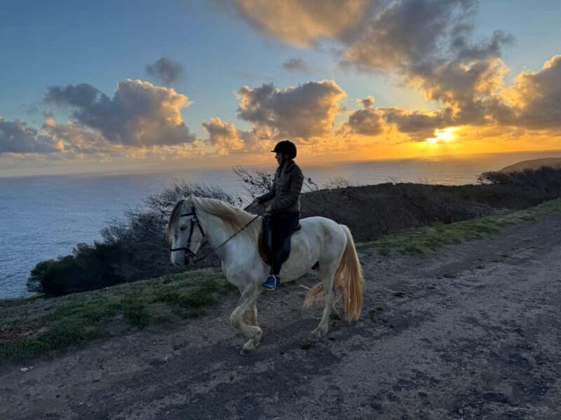 Porto Santo Island: Horse Riding - Why Choose the Porto Santo Horseback Ride?  