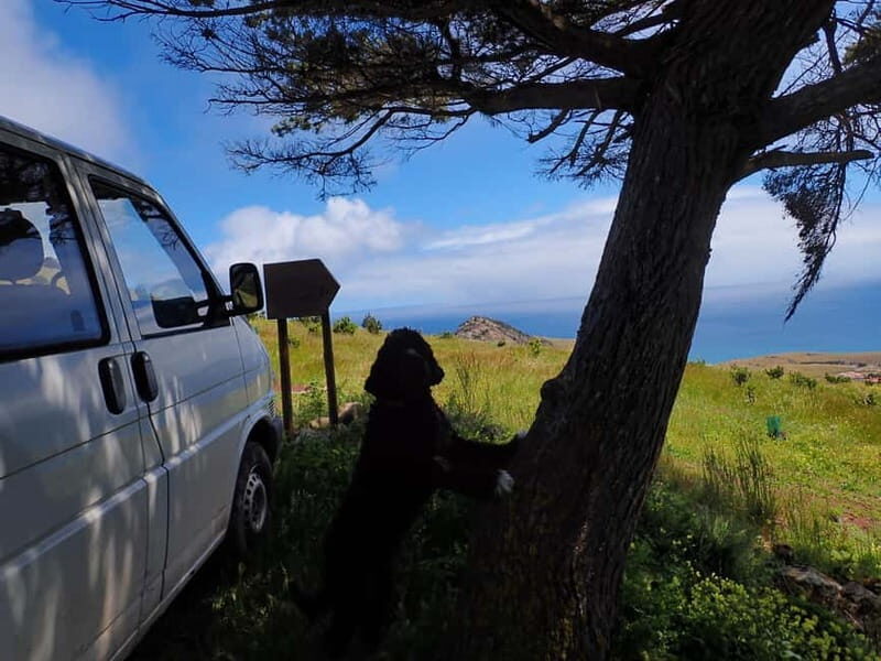 Porto Santo Island: Pico do Facho Panoramic Trail - The Scenic Highlights
