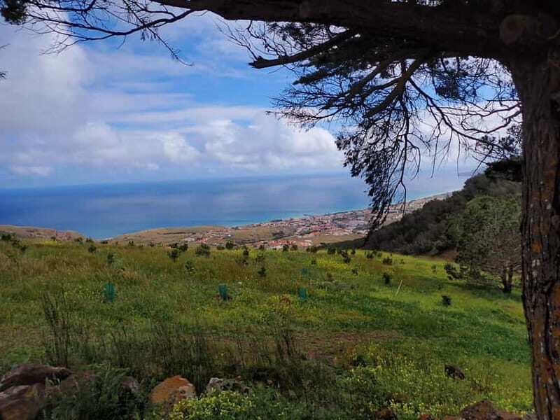 Porto Santo Island: Pico do Facho Panoramic Trail - Authentic Experience and Practicalities