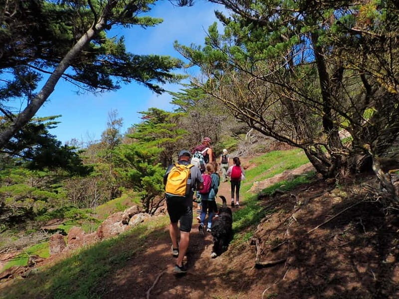 Porto Santo Island: Pico do Facho Panoramic Trail - The Sum Up