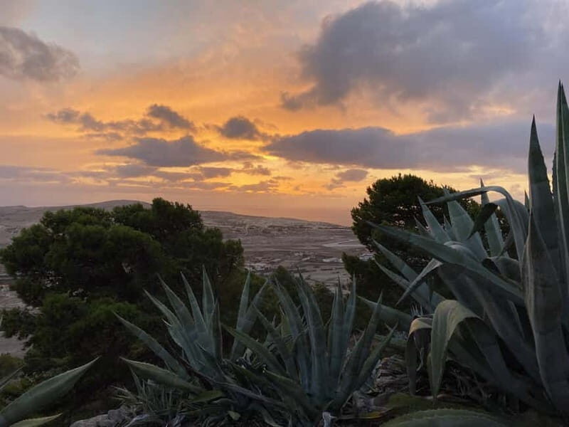 Porto Santo: Photographic and discovery full island tour. - Authentic Experiences from Past Travelers