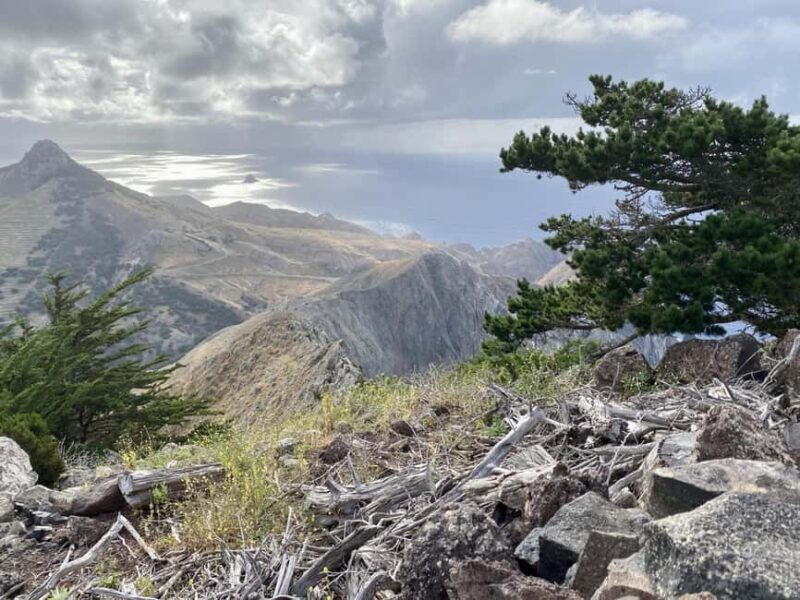 Porto Santo: Pico Branco and Terra Cha Guided Mountain Hike - An Honest Look at the Experience