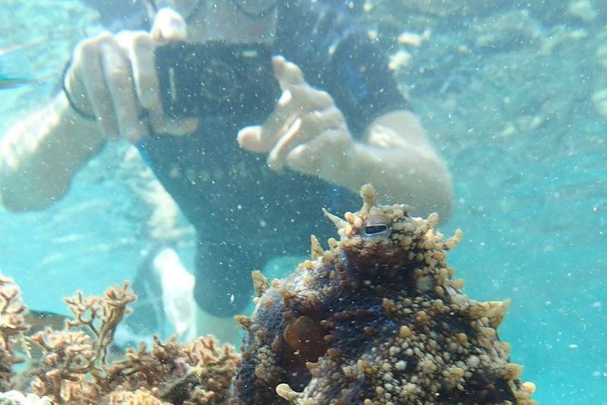 porto-santo-snorkeling-tour