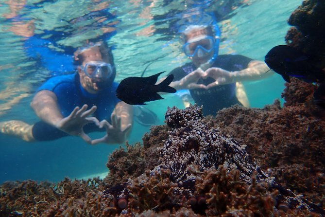 porto-santo-snorkeling-tour
