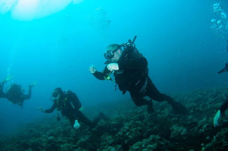 Porto Santo Stefano: Scuba Diving Boat Trip with Lunch - Who Is This Tour Best For?
