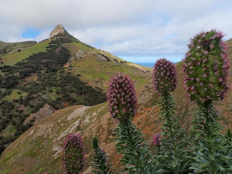 Porto Santo: Terra Chã and Pico Branco Hiking tour - An Overview of the Experience