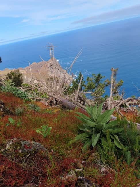 Porto Santo: Terra Chã and Pico Branco Hiking tour - The Itinerary in Detail