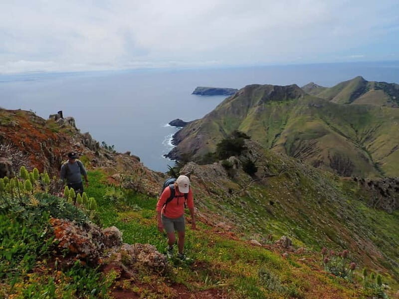 Porto Santo: Terra Chã and Pico Branco Hiking tour - Who Will Love This Tour?