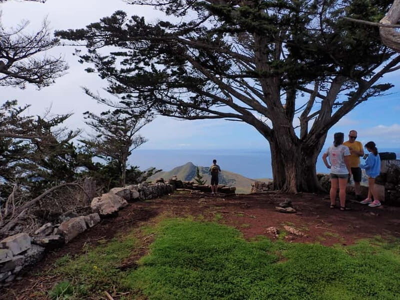 Porto Santo: Terra Chã and Pico Branco Hiking tour - The Sum Up
