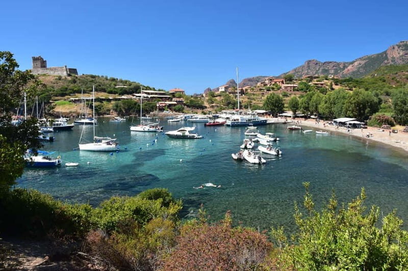 Porto: Scandola Nature Reserve and Creeks of Piana Boat Tour - Key Points