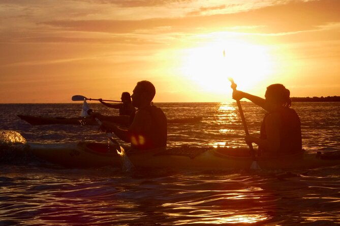 porto-selvaggio-kayak-tour-cliff-diving-cold-spring-immersion