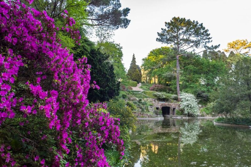 porto-serralves-foundation-all-access-pass