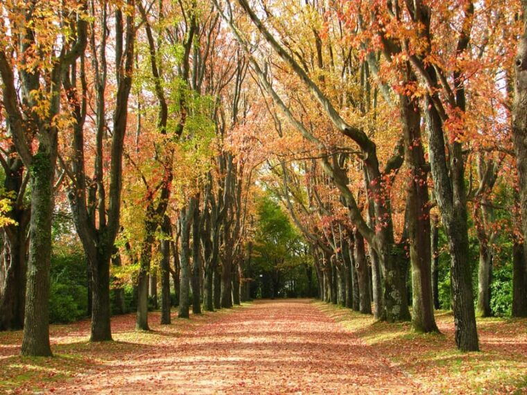 porto-serralves-foundation-all-access-pass