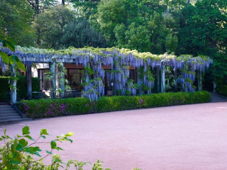 porto-serralves-foundation-all-access-pass